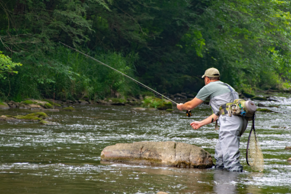 Yellow Creek Stream Report - Dark Skies Fly Fishing