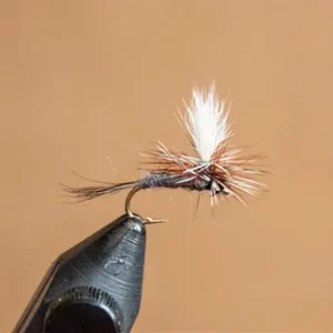 Assortment – April Dry Fly Box – Dark Skies Fly Fishing