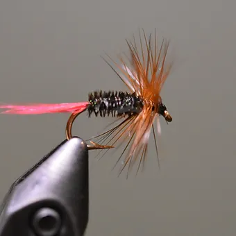 Brown Hackle Peacock – Dark Skies Fly Fishing