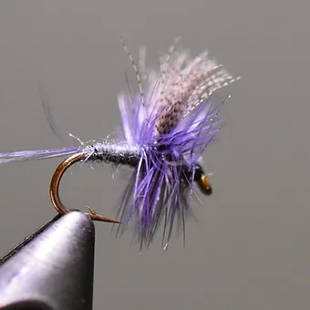 Dark Hendrickson Dry Fly for trout fishing