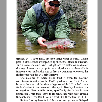 Fly Fishing in the Heart of PA's Coal Country: WB Susquehanna and