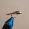 Pheasant Tail Nymph