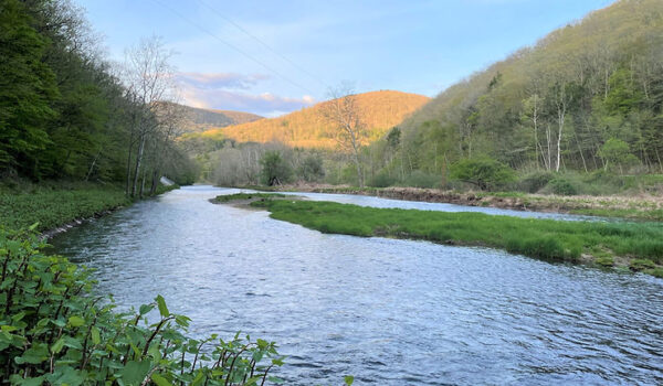 Fly Fishing the PA Grand Canyon: The Pine Creek DHALO - Dark Skies Fly ...