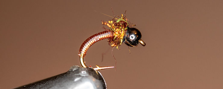 A Brassie fly nymph.