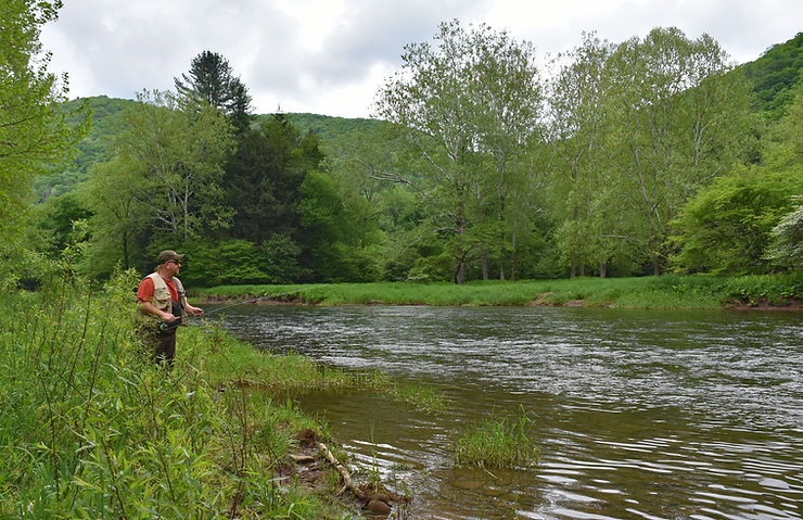 Ralph fishing First Fork Sinnemahoning Creek
