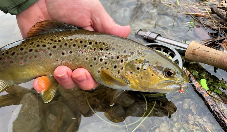 The Broken Fly Rod Blues…and How to Fix Them – Dark Skies Fly Fishing