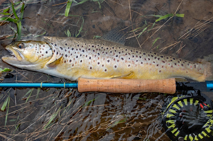 Rod and reel combos, such as the Redington Crosswater, are a great option for people just getting started in fly fishing