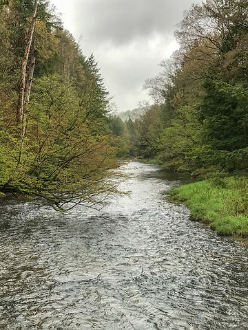 Salmon Creek