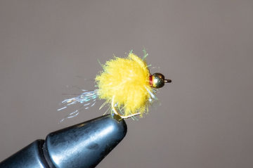 The Y2K Bug Beaded Nymph Fly for trout fishing