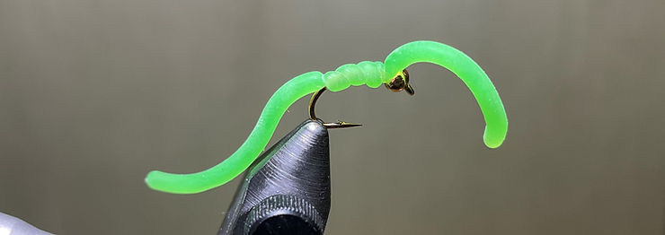 A bright green squirmy wormy