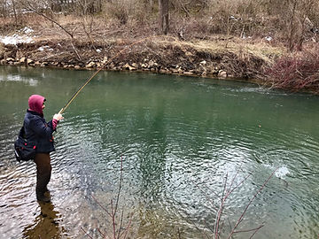 Fishing Buffalo Creek DHALO