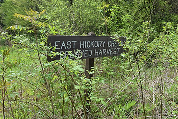 East Hickory Creek Delayed Harvest sign