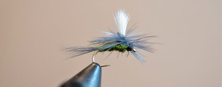 A Parachute BWO in size 18