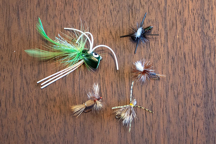 An assortment of flies that will catch bluegills on the surface. Counterclockwise from left: Poppers, Humpies, Madam X, Parachute Adams, and Beetles