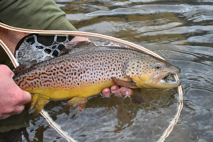 Choosing and using the right fly