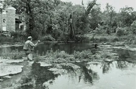 Ed Shenk fishes Letort Spring Run in the 1950s. (Photo by Lefty Kreh, used with permission.)