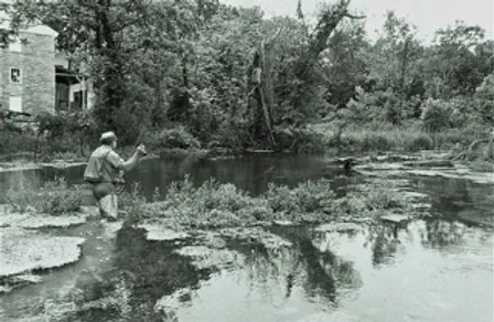 Chillin' on the Cool Spring Creek DHALO – Dark Skies Fly Fishing