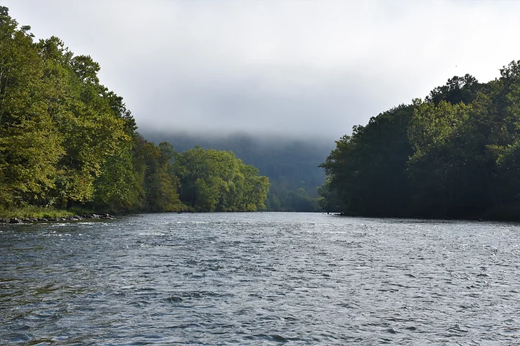 A foggy morning on the Youghiogheny River
