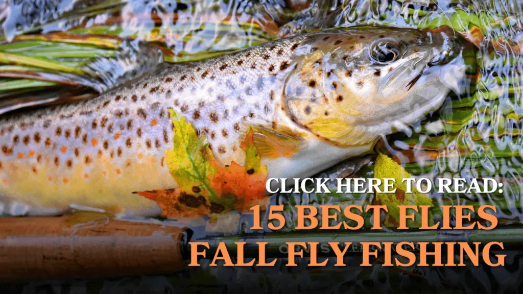 trout with fall leaves