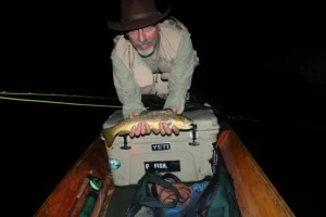 brown trout after dark