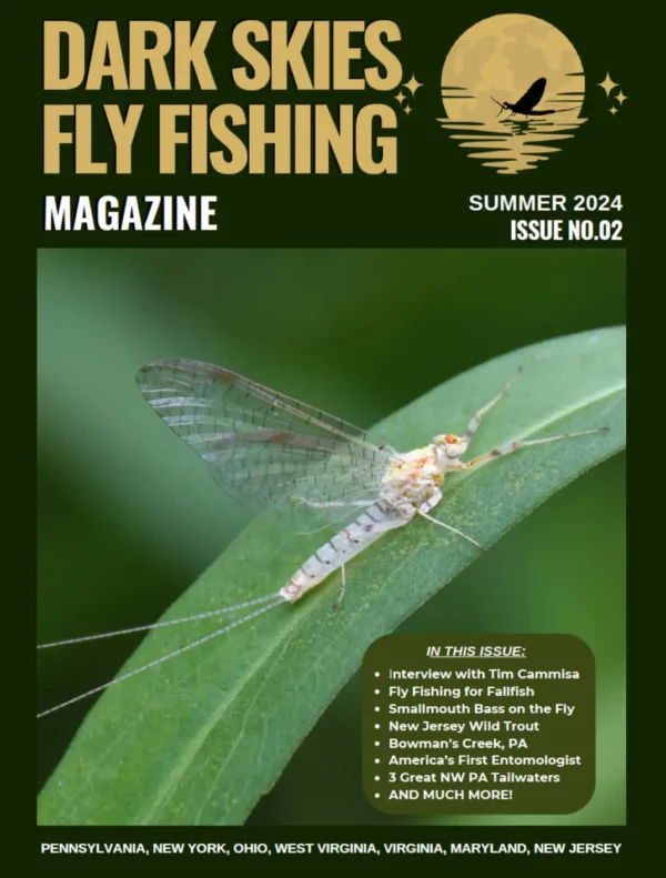 2 Year Digital Subscription - Image 4