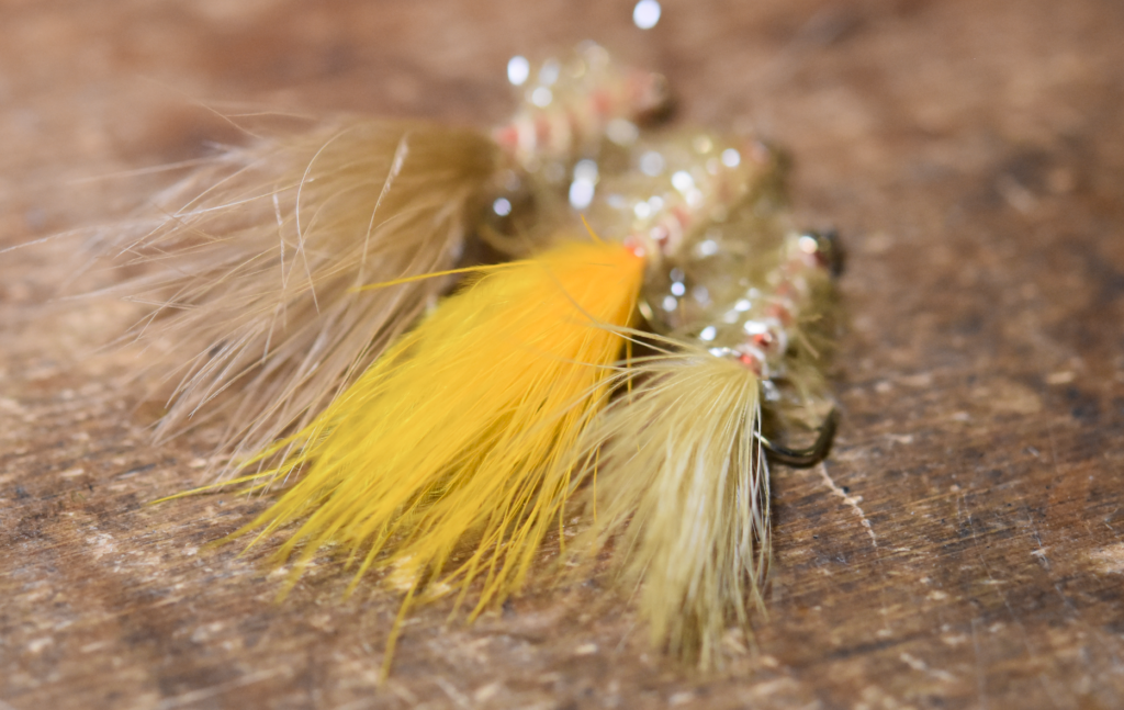 golden retriever fly