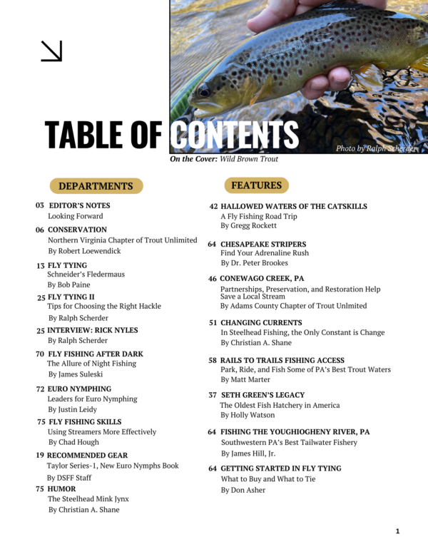 Issue #5, February/March 2025 Dark Skies Fly Fishing - Print Copy - Image 3