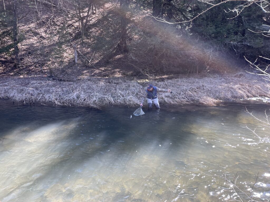 man fishing in stream