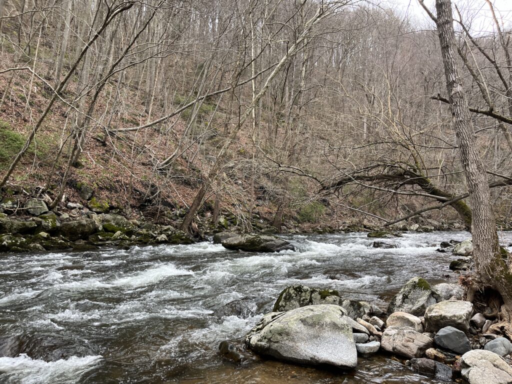 South Branch Raritan River