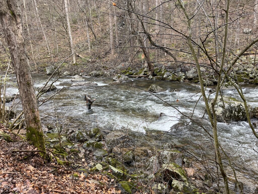 angler fishing a fast flowing stream