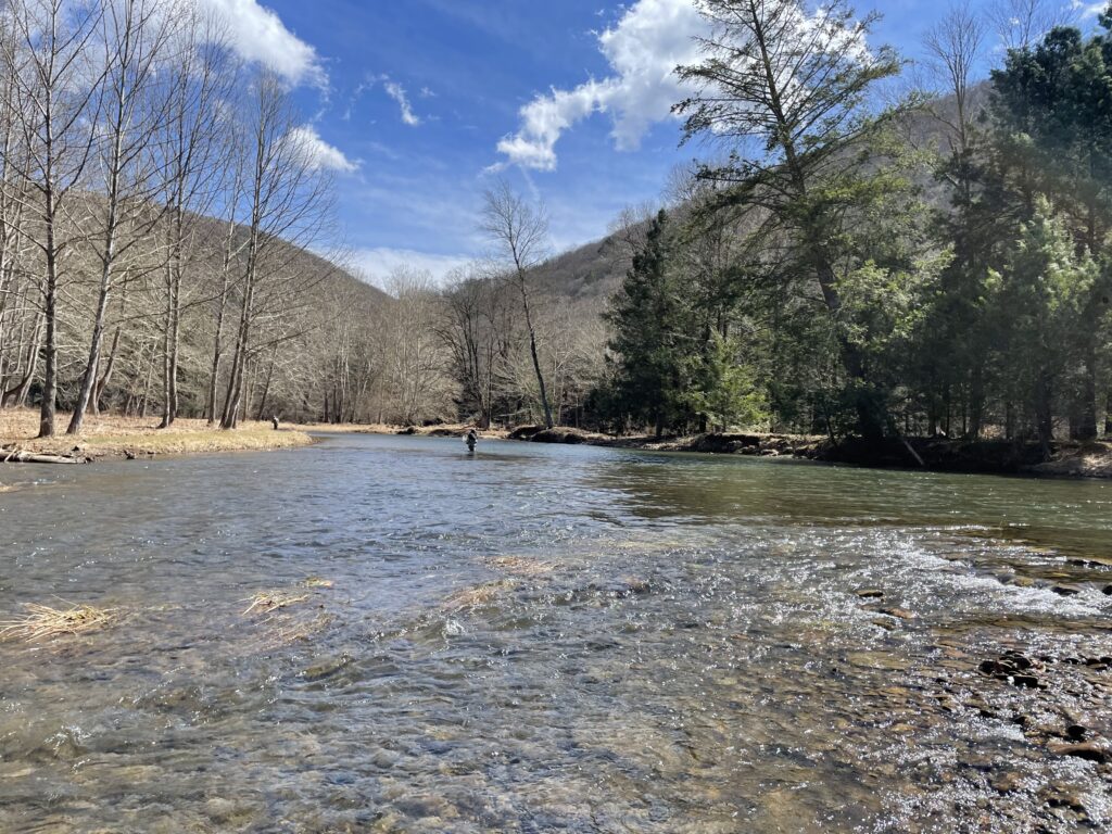 river flowing with mountains in distance