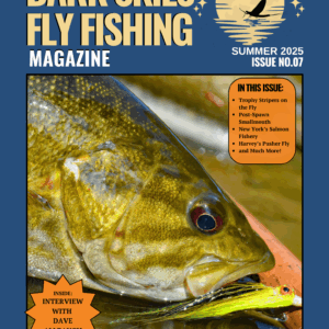 magazine cover