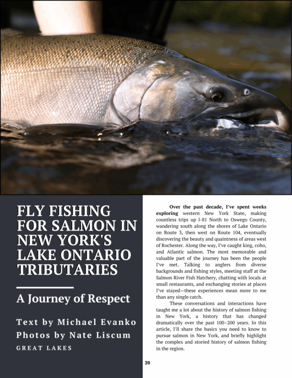 salmon