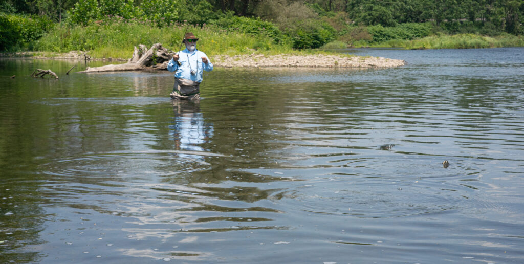 man fly fishing for trout