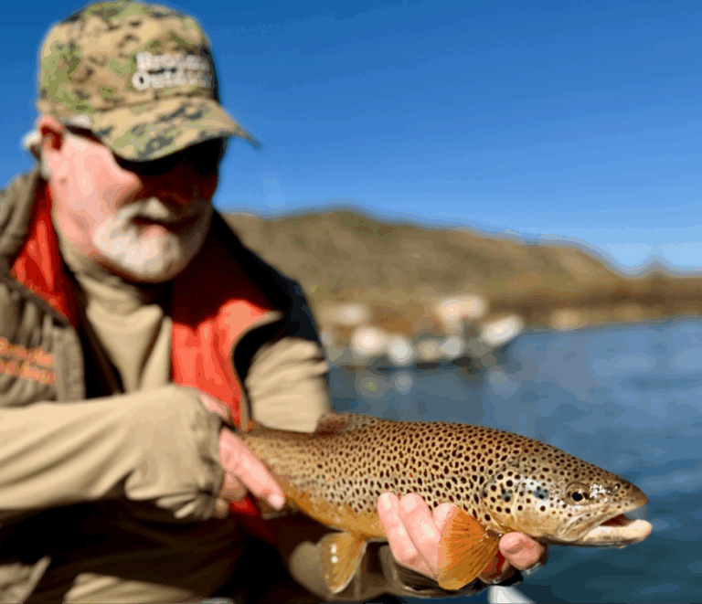 San Juan river brown trout