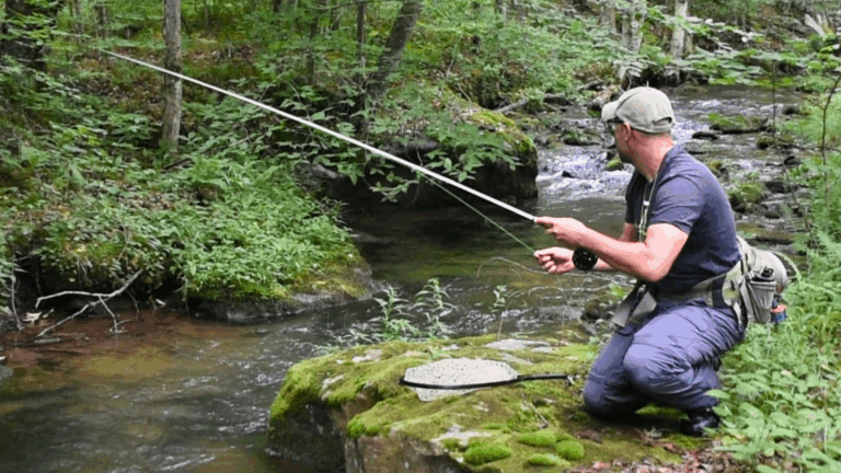 man fishing from a rock in a stream