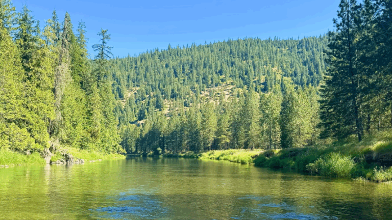 Idaho's Coeur d'Alene River