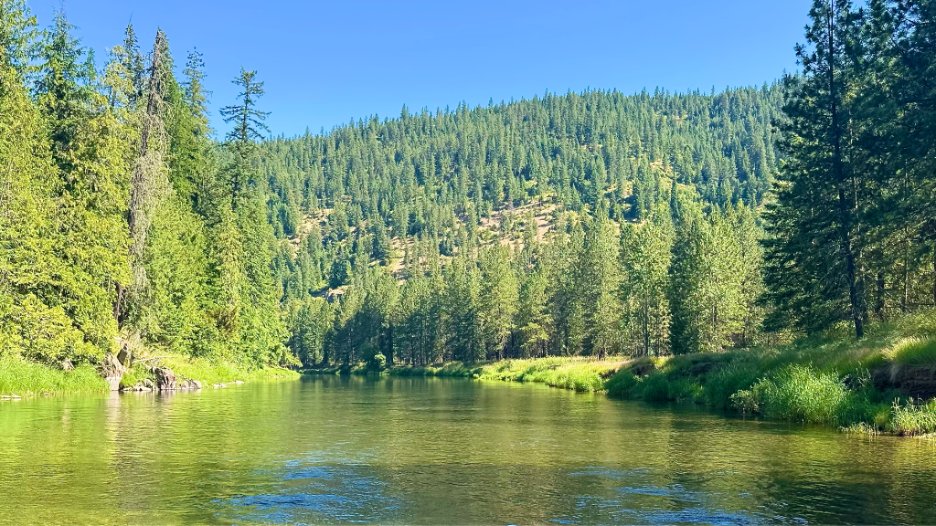 Idaho's Coeur d'Alene River
