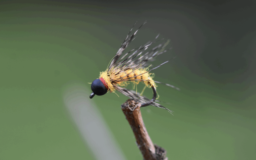 fishing fly nymph