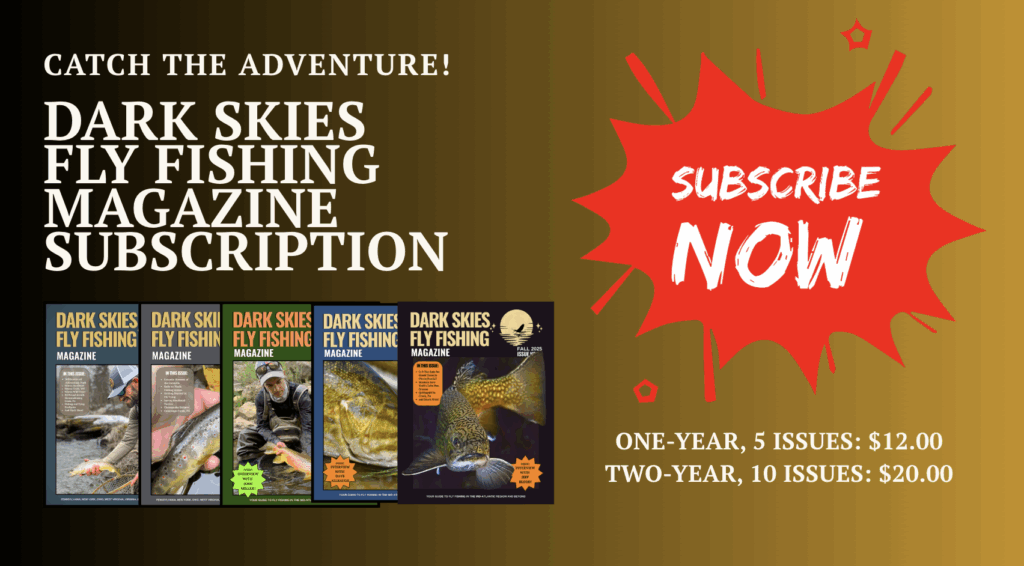 Digital Magazine Subscription