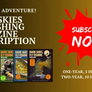 Two year digital magazine subscription