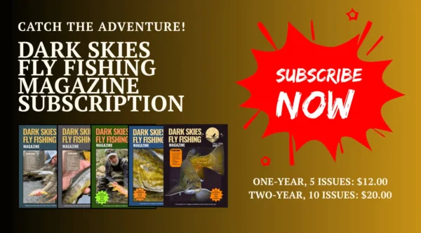 Two year digital magazine subscription