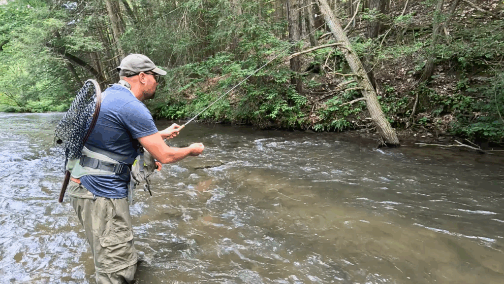 man fishing on a stream in the woods