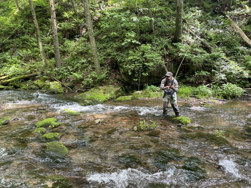 man fishing stream in a forest