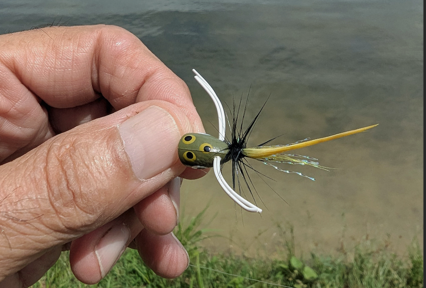 hand holding frog colored popper fly